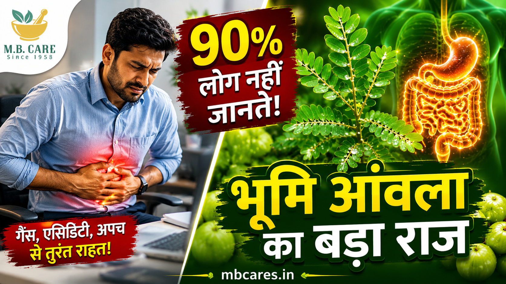 Bhumi Amla ke Active Antioxidants: Gut Immunity Ko Naturally Strong Kaise Banaye